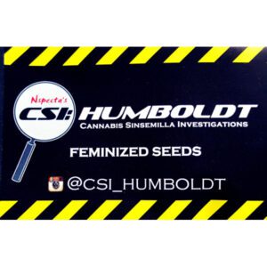 csi humboldt