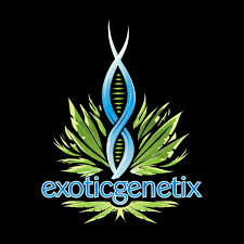 ExoticGenetix