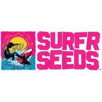 Surfr Seeds